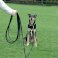 Heavy Duty Black Lead Strong Leash Recall Line Dog Horse Training Strap