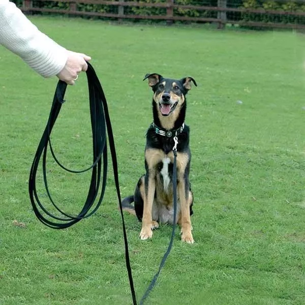 Heavy Duty Black Lead Strong Leash Recall Line Dog Horse Training Strap