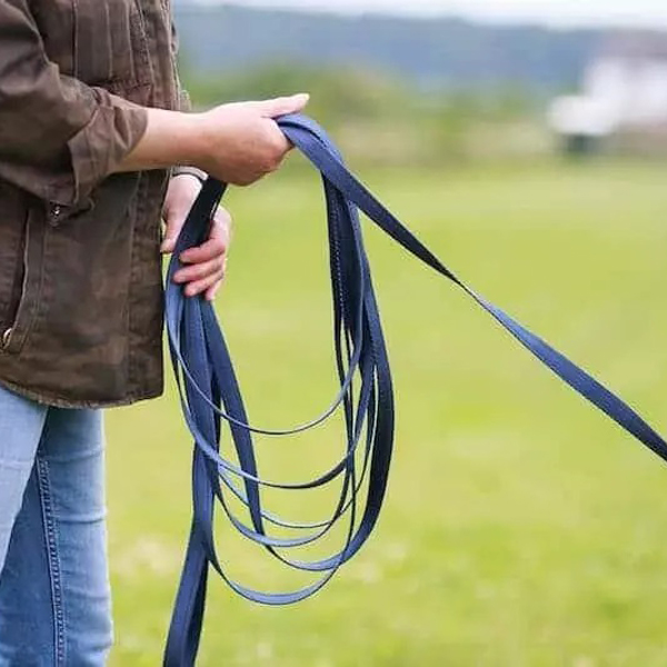 Heavy Duty Black Lead Strong Leash Recall Line Dog Horse Training Strap