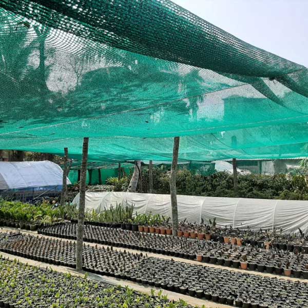 Lightweight Open Mesh 50 GSM General Purpose Netting 